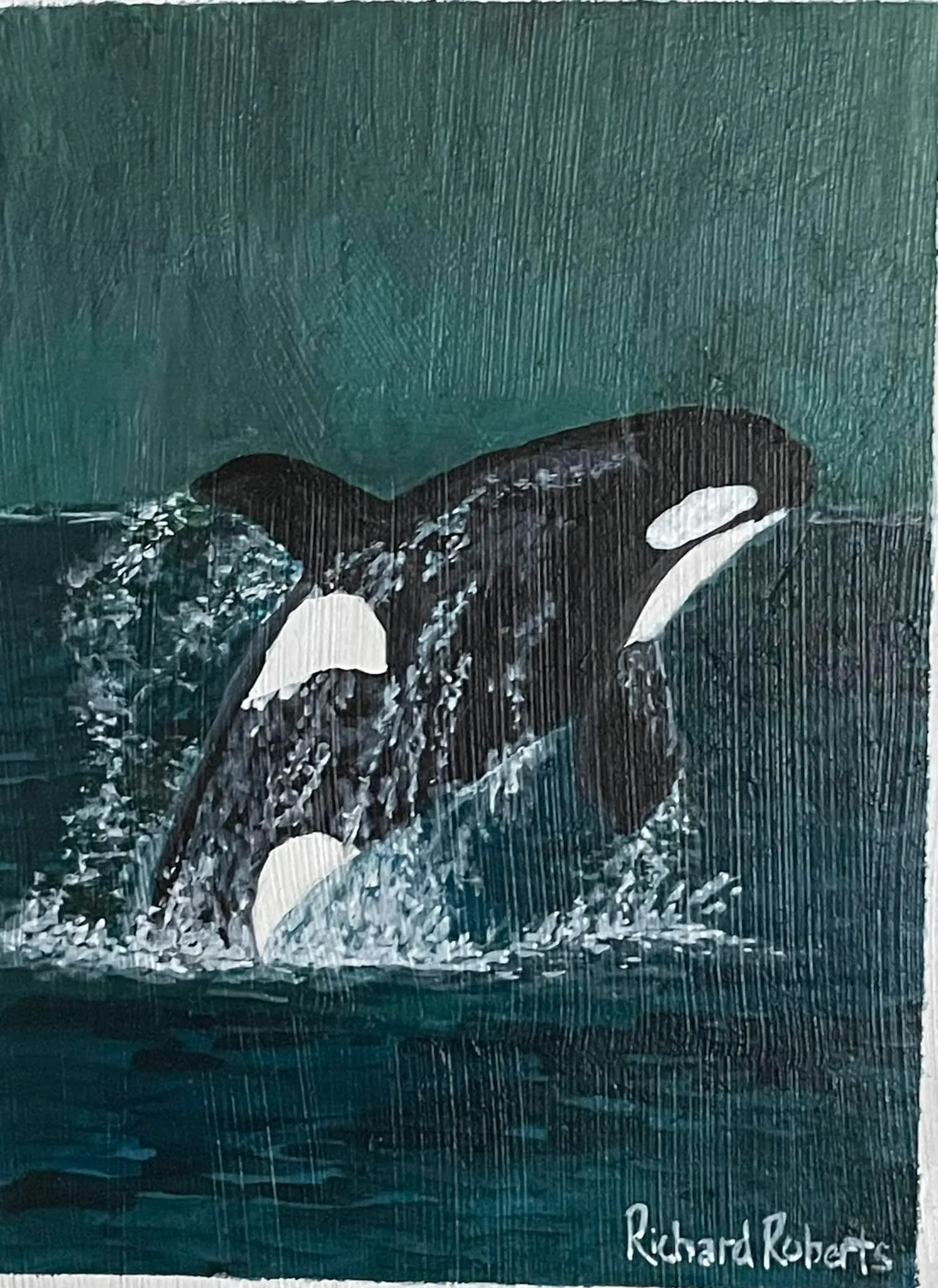 Original Art by Richard Roberts. Killer Whale