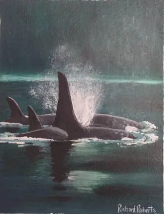 Mosiac View 27 Three whales breaching