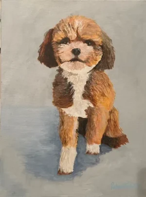 Cute curly haired dog