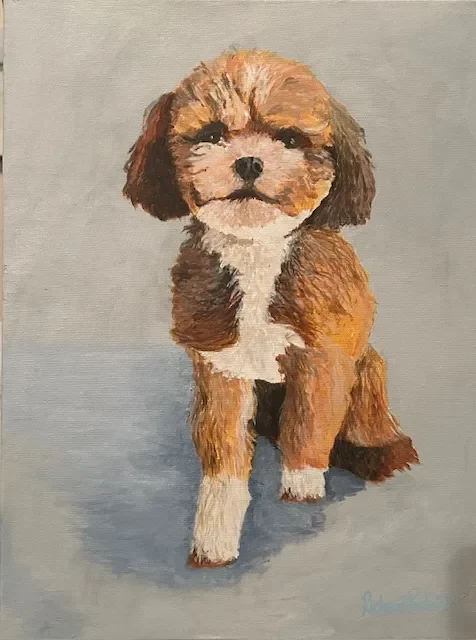 Cute curly haired dog